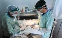 moviles de castracion animal6