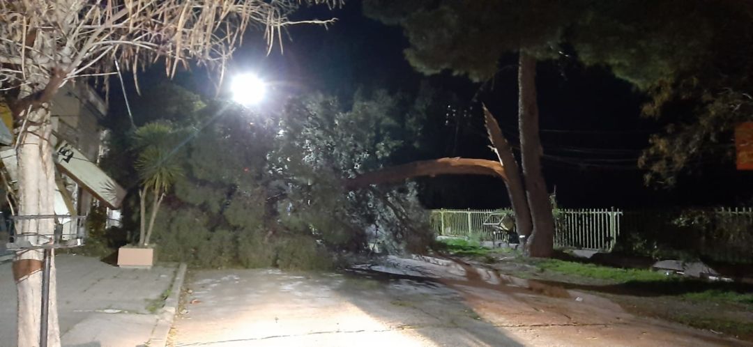 El temporal de viento también azotó el distrito de Coronel Rosales