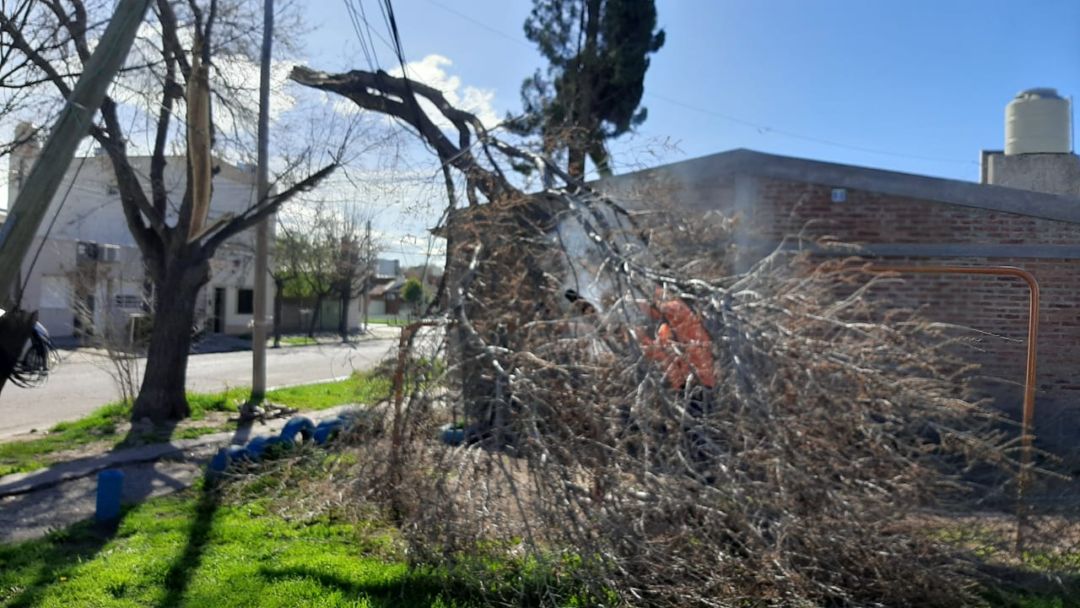 Por el temporal de viento, Defensa Civil recibió más de 300 llamados