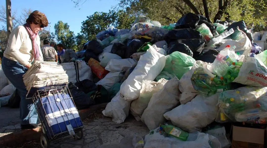 ecocanje