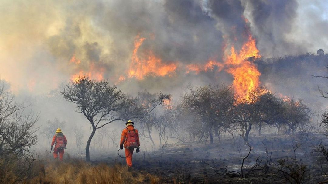 Incendios forestales en Córdoba: en tres días se quemaron 5000 hectáreas