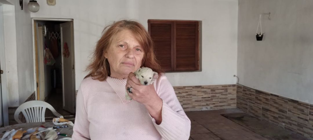 Una mujer fue víctima de un asalto: le robaron el auto y sus dos perros