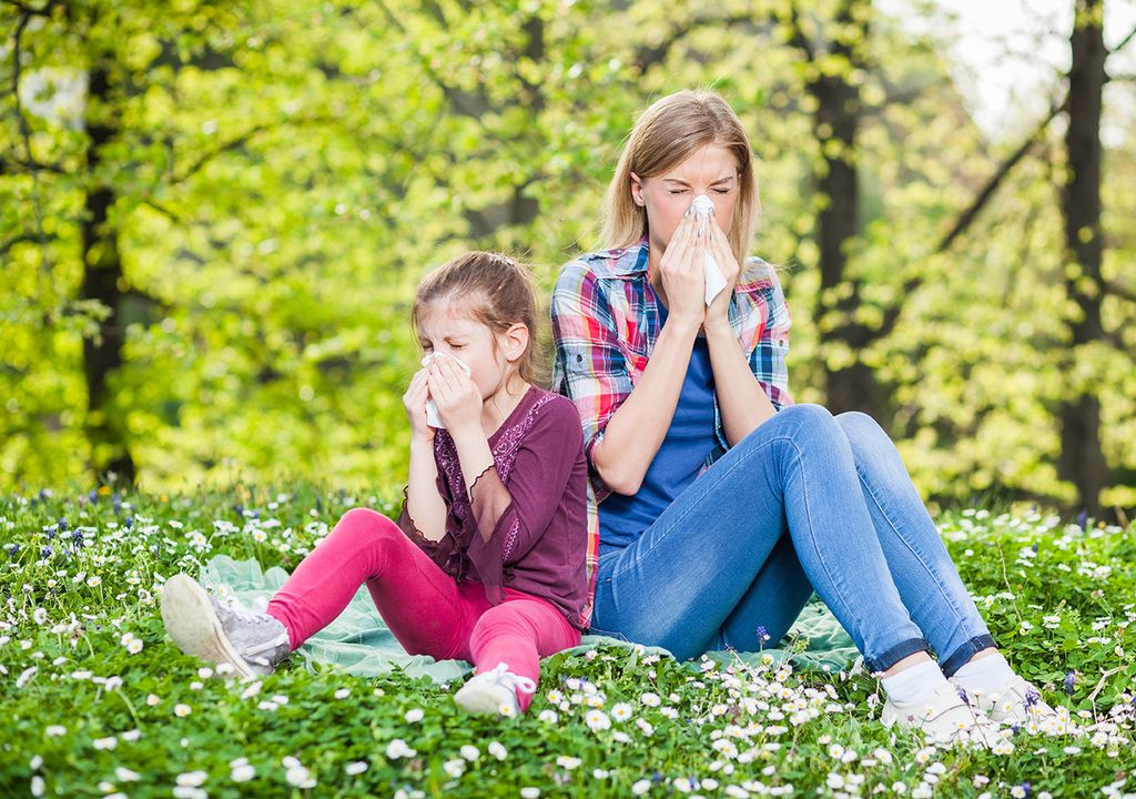 Alergias en otoño: ¿cuáles son las más comunes y cómo aliviarlas?