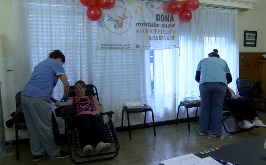 Donación de sangre y médula ósea