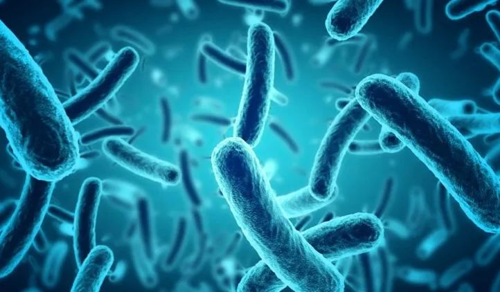 Legionella: ¿cómo actúa la bacteria que provoca neumonía bilateral?
