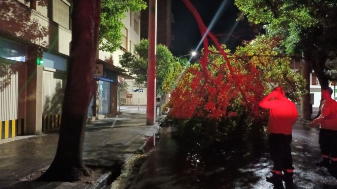 Las consecuencias que dejó el temporal en la ciudad