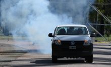 fumigación