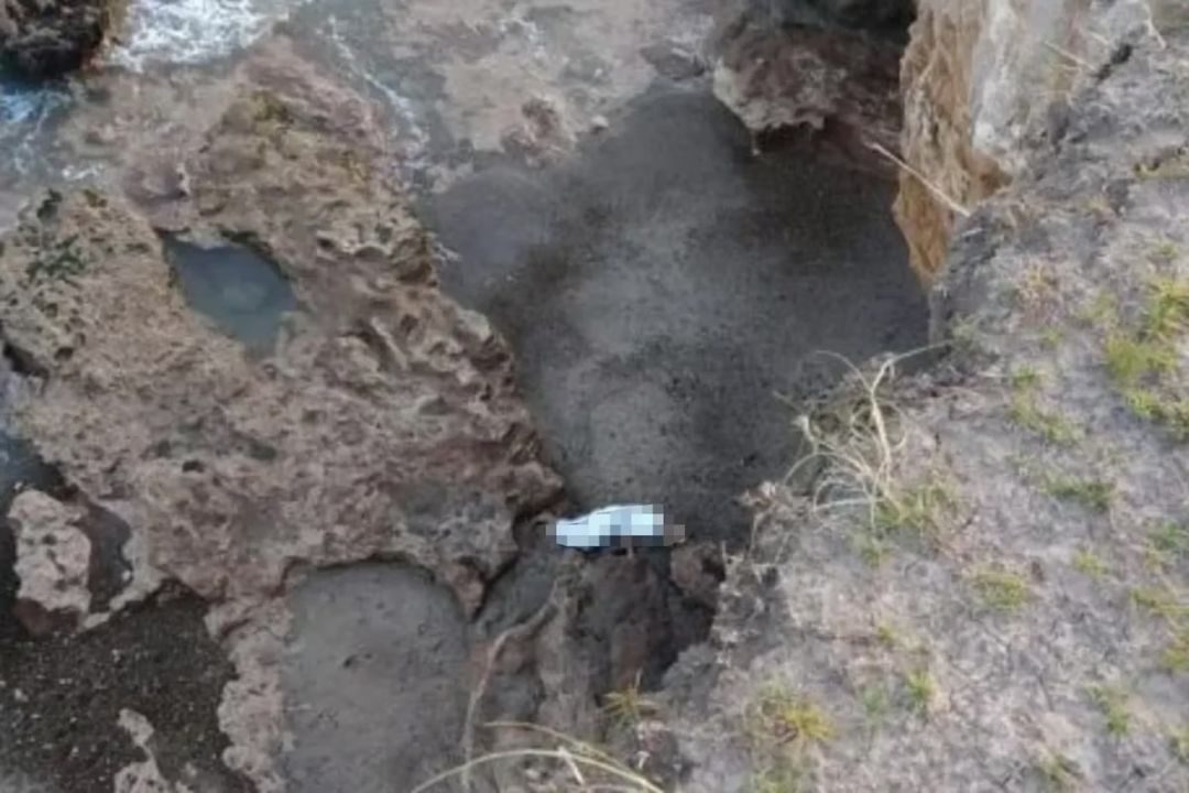 Tragedia en Mar del Plata: un turista español se estaba sacando una foto al borde de un acantilado, cayó desde 10 metros de altura y murió