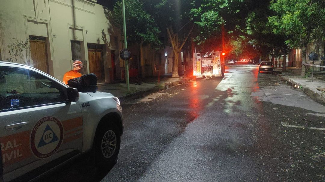 Lo que dejó la tormenta: un pino cayó sobre una vivienda