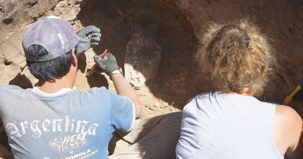 Extraordinario hallazgo en Necochea: encontraron restos del tigre diente de sable de la Era de Hielo