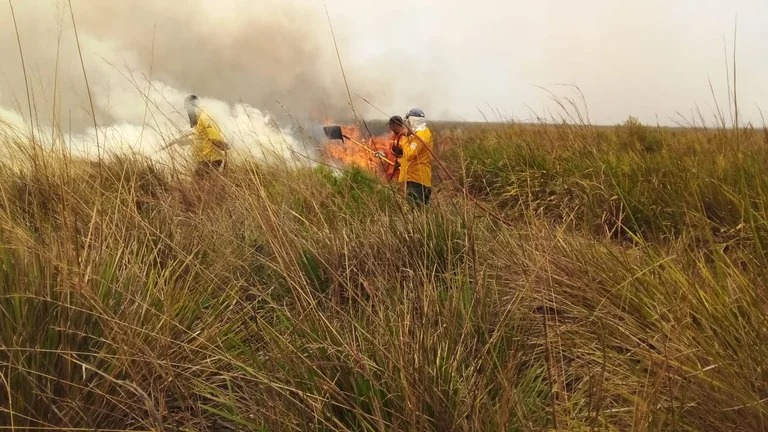 Siguen los incendios en Corrientes: registraron 14 focos y el fuego avanza sobre los Esteros del Iberá