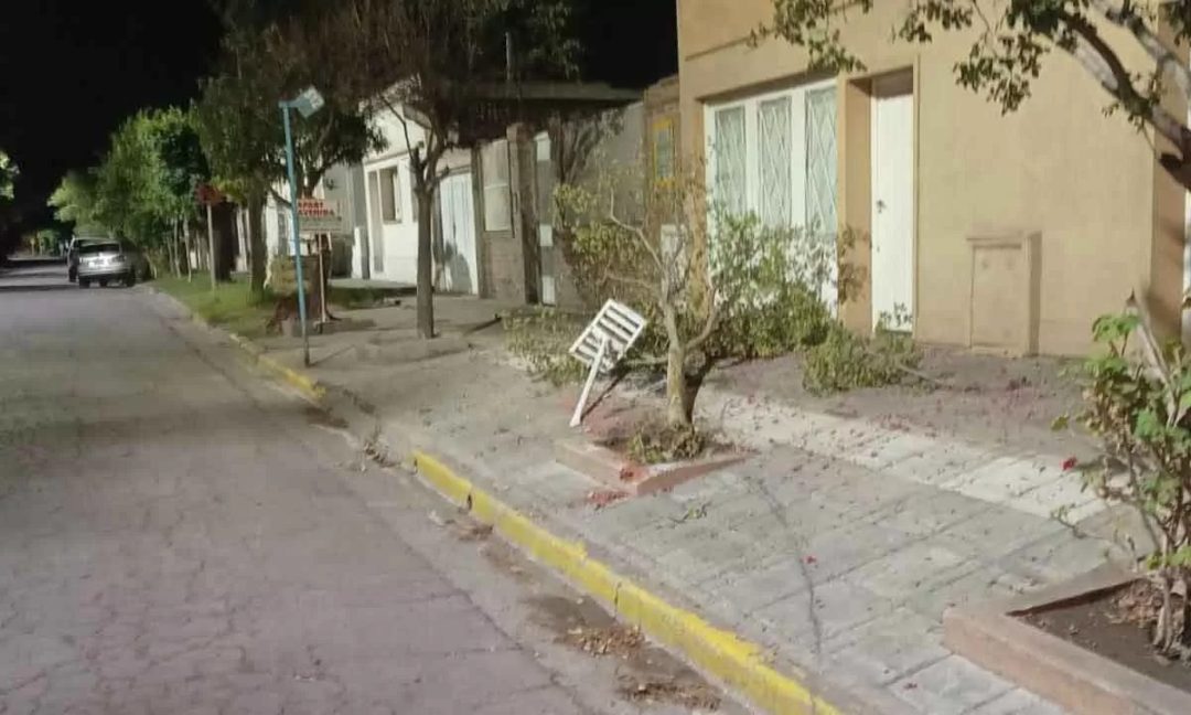 Manejaba alcoholizada y chocó contra un árbol y un canasto de basura