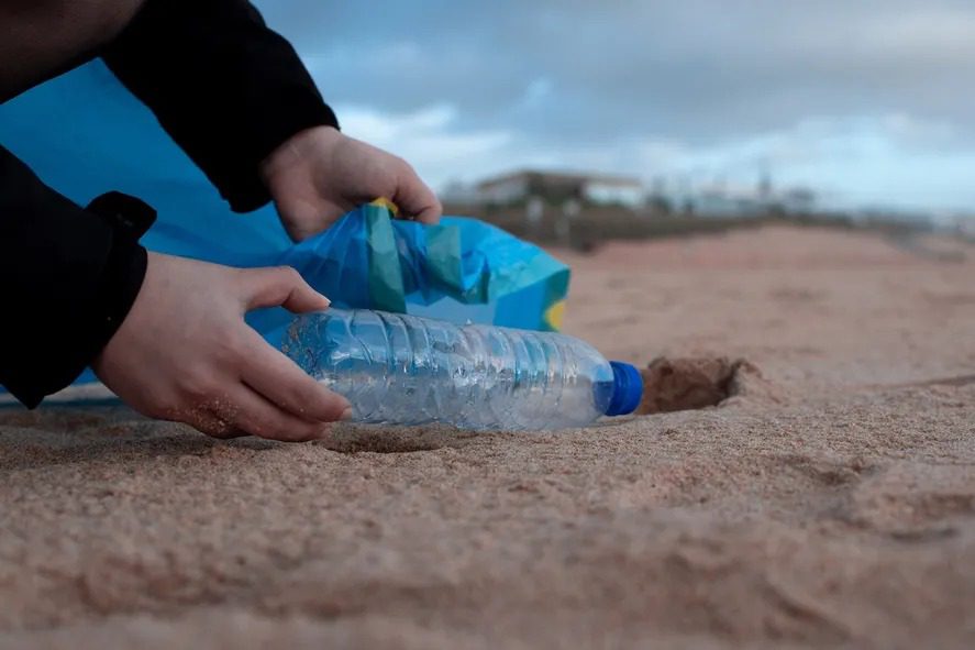 Basura en la costa bonaerense: 7 de cada 10 residuos son plásticos