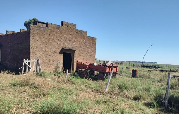 Detuvieron a tres personas que faenaron vacas y robaron en un campo