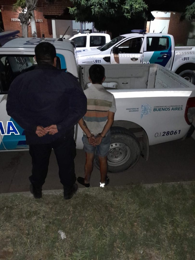 Detuvieron a dos jóvenes que quisieron robar plantas de marihuana de uso medicinal
