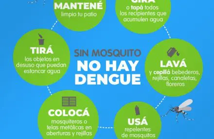 dengue