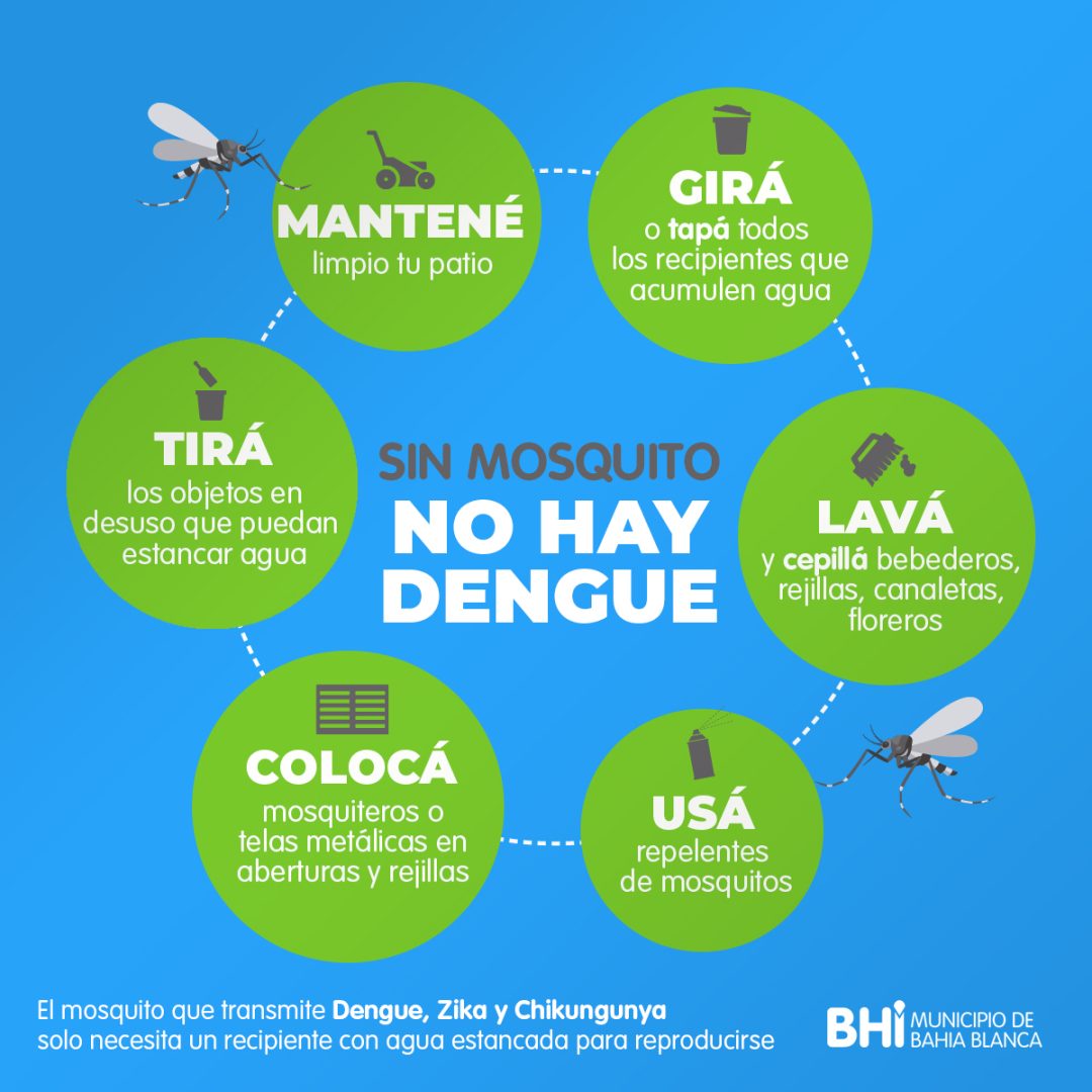 dengue