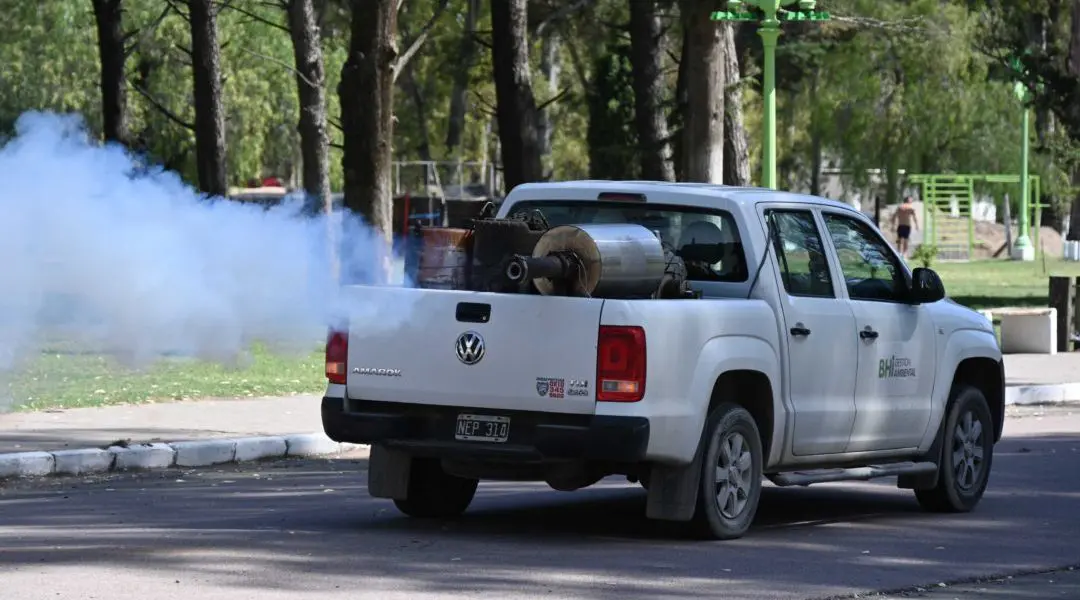fumigación dengue