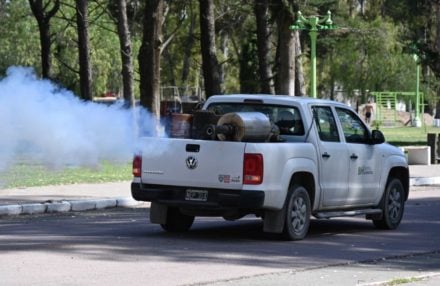 fumigación dengue