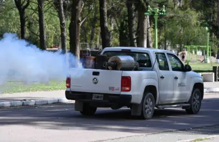fumigación dengue