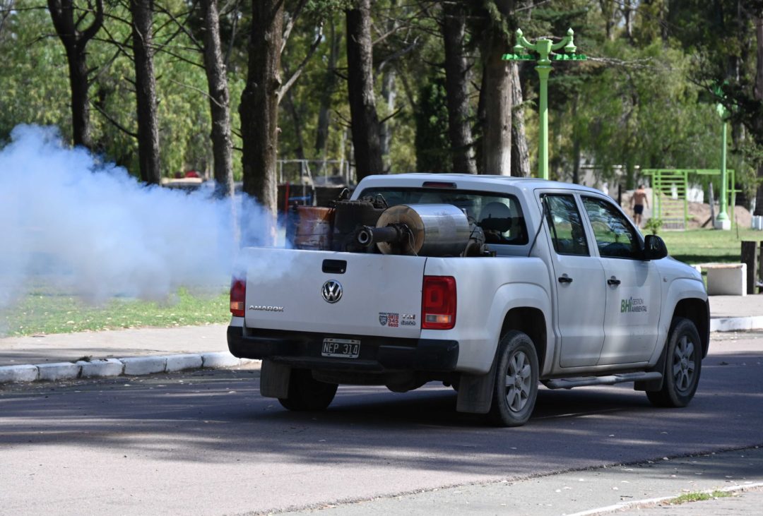 fumigación dengue