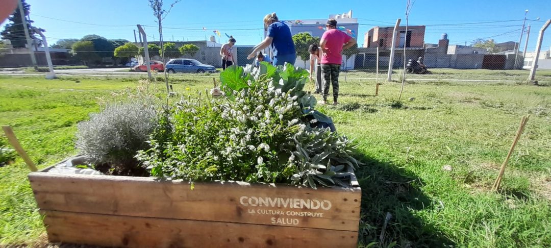 Huertas de la ciudad: promoción de la actividad hortícola en barrios e instituciones