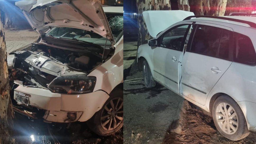 Manejaba totalmente borracho y chocó su auto contra un árbol