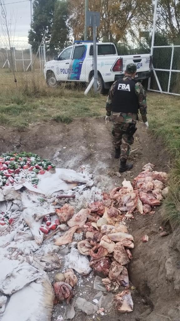 Secuestraron 170 kilos de carne