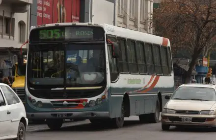 colectivo 505