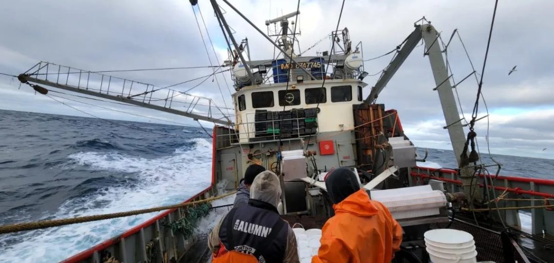 La actividad pesquera cayó un 69,7 por ciento durante abril