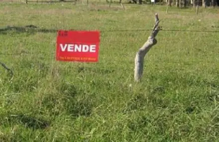 terrenos estafas venta