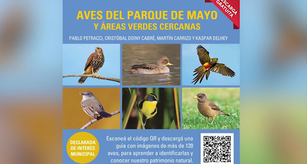 La guía de aves del Parque de Mayo y áreas verdes cercanas