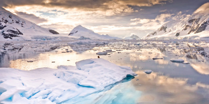 Alerta en la Antártida: los glaciares tuvieron la pérdida de hielo más importante de los últimos 20 años