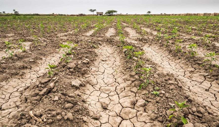 Villarino en emergencia agropecuaria por la sequía