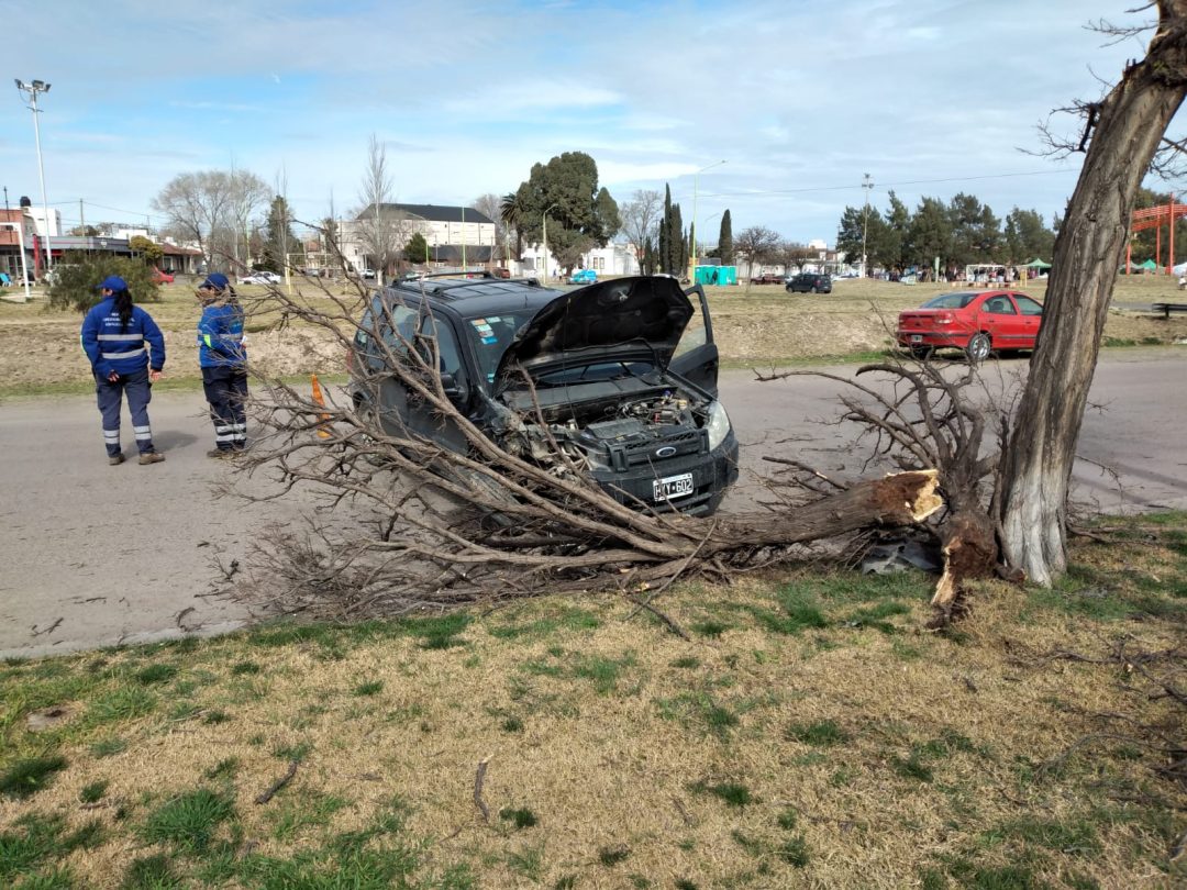 Perdió el control de su vehículo e impactó contra un árbol