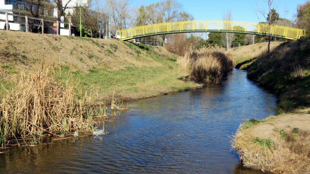 Censo y Limpieza del Arroyo Napostá Grande