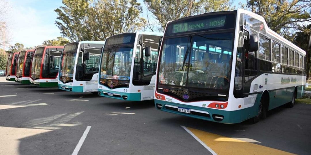 El servicio de transporte público incorporó nuevas unidades: en los últimos años se renovó un tercio de la flota de vehículos