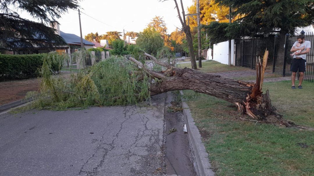 La tormenta generó varios inconvenientes en Bahía