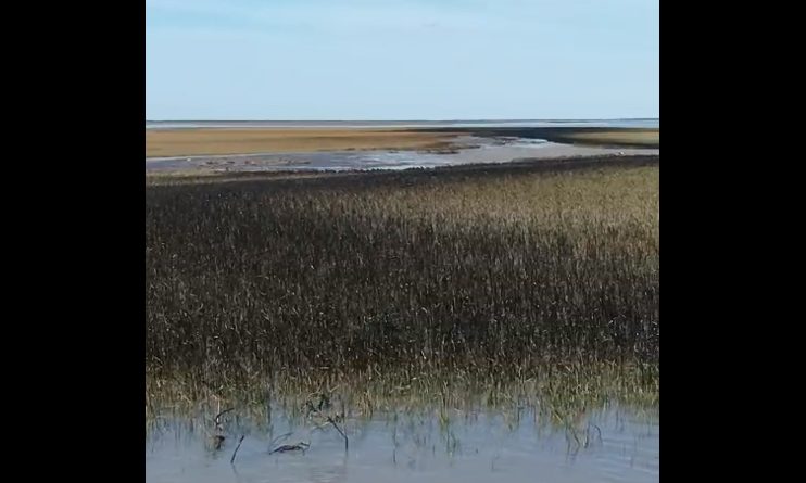 Intiman a Oiltanking a que haga las tareas de remediación en el sector de la Ría afectado por el derrame de petróleo