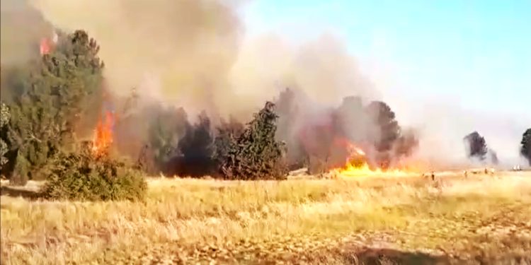 Impresionante incendio en el Dique Paso de las Piedras