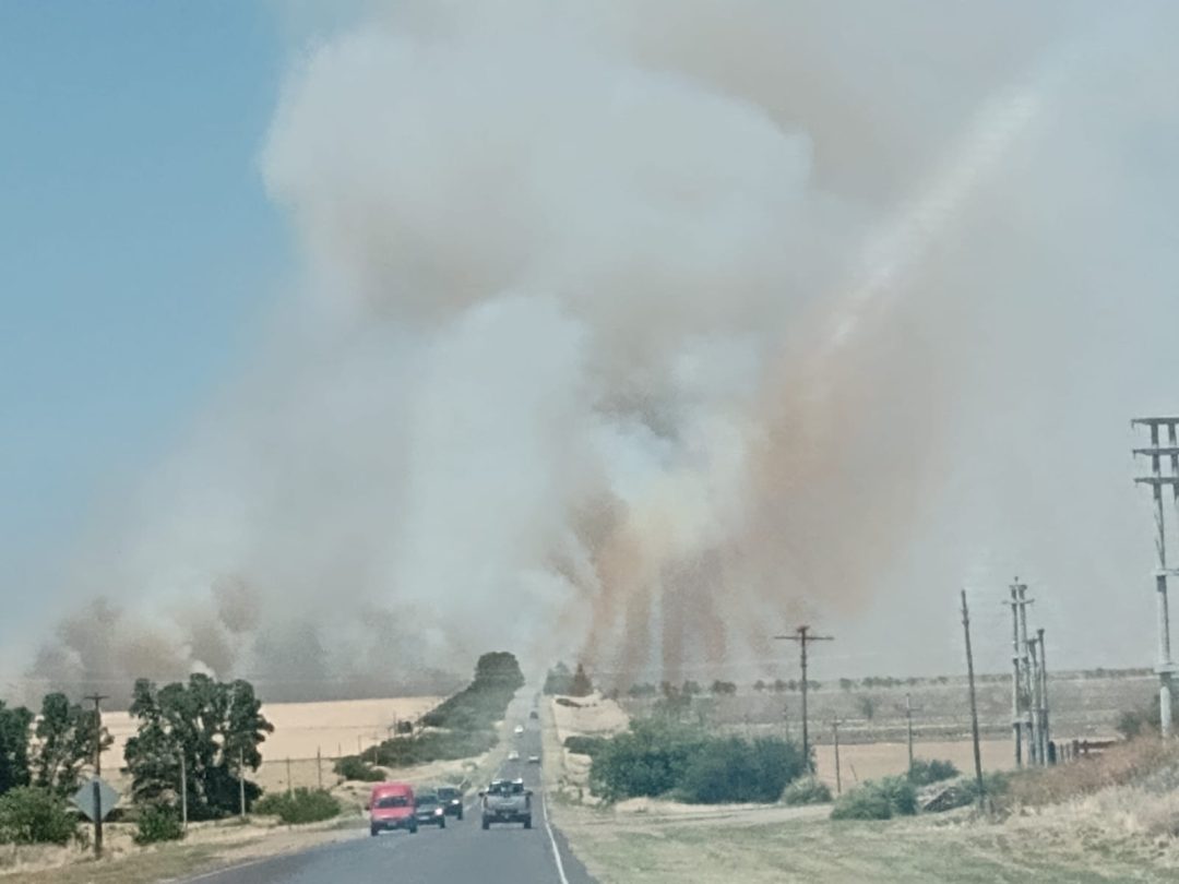 Incendio de magnitud entre Sierra de la Ventana y Saldungaray