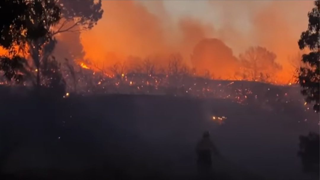 Se desató un importante incendio en uno de los ingresos a Monte Hermoso