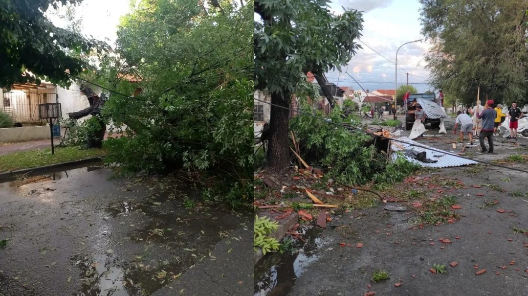 Las impactantes imágenes del fuerte temporal en Miramar: cayeron árboles, postes de luz y volaron techos