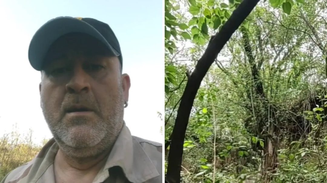 Un hombre caminaba por un bosque de Tucumán, vio algo escalofriante y grabó todo: “Está quietito ahí”