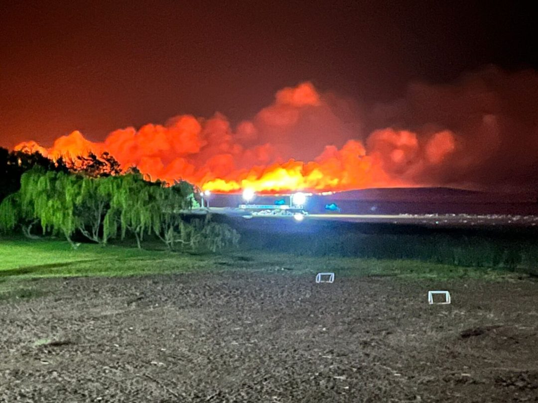 Pigüé: un rayo provocó un incendio forestal