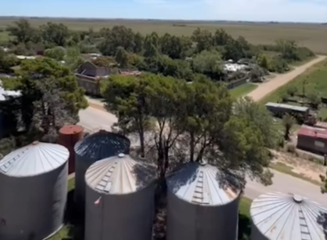 La AFIP descubre más de 850 toneladas de granos en un centro de acopio clandestino