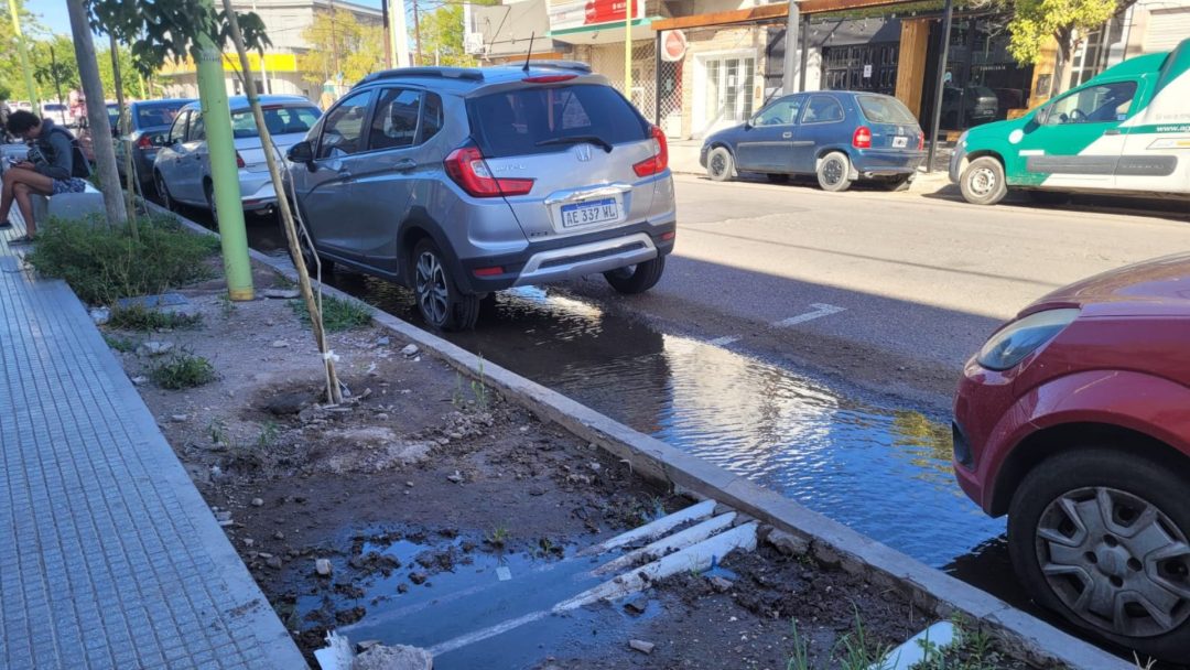 La peatonal de Villa Mitre: siguen los problemas para los vecinos