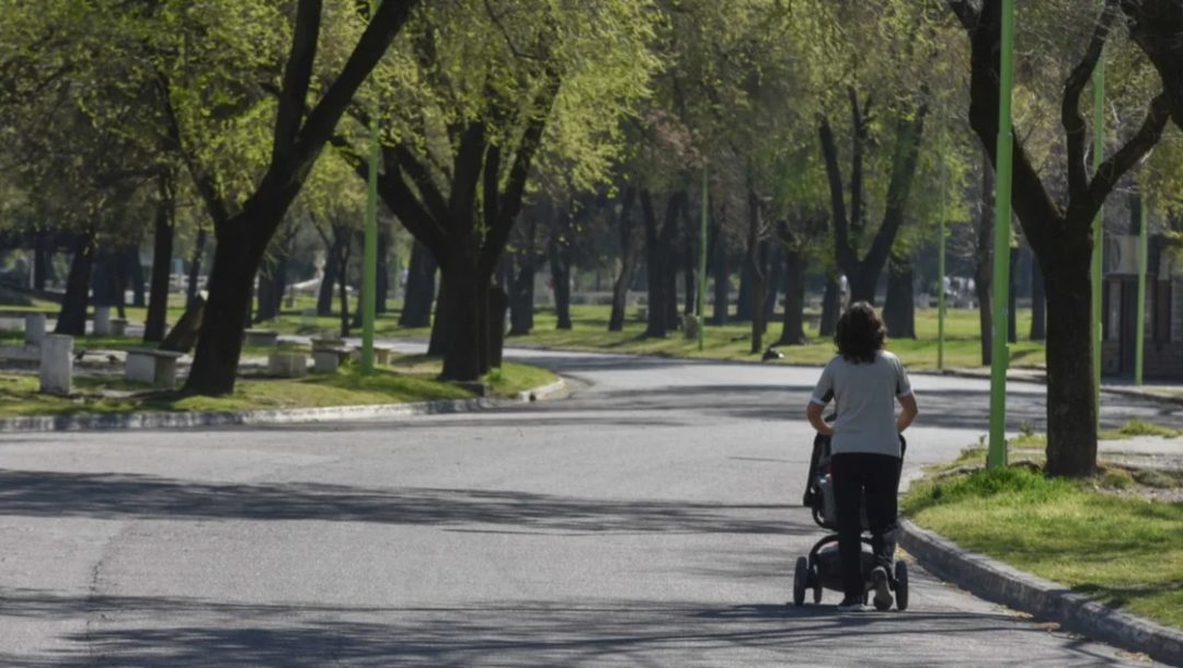 Comienzan las charlas y talleres en el marco del programa Reverdecer Bahía