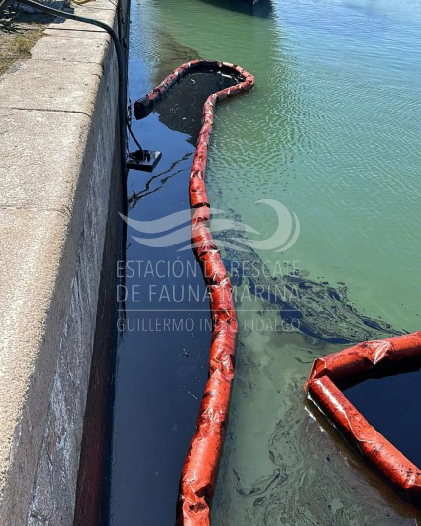 Denuncian un nuevo derrame en el estuario