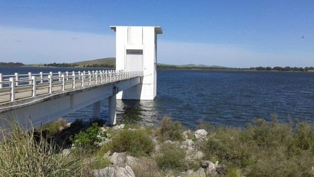 Hay problemas con el suministro de agua en Bahía por presencia de algas en el Dique